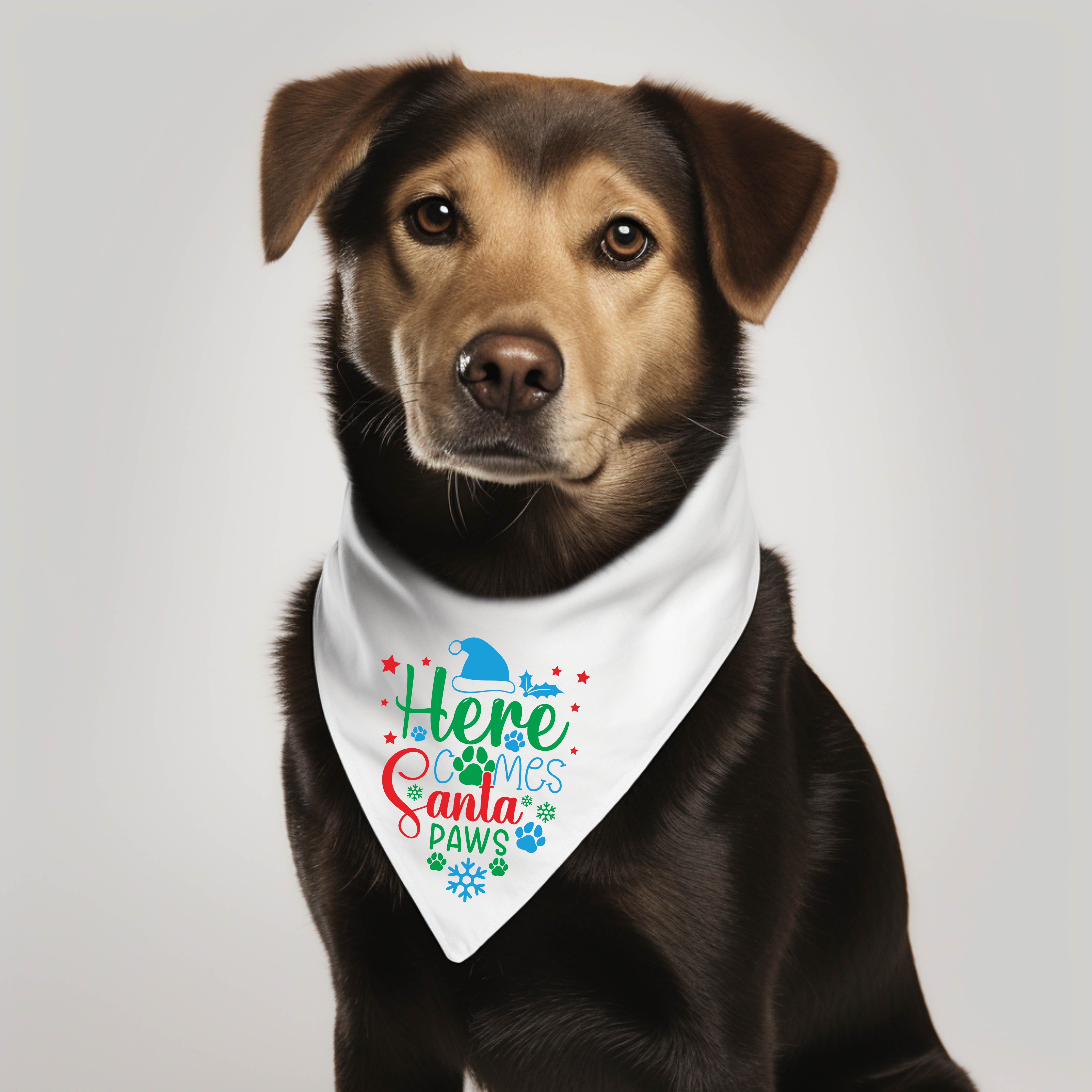 Custom Pet Bandana Gift Your Pet Dog Cat Pig Etc.