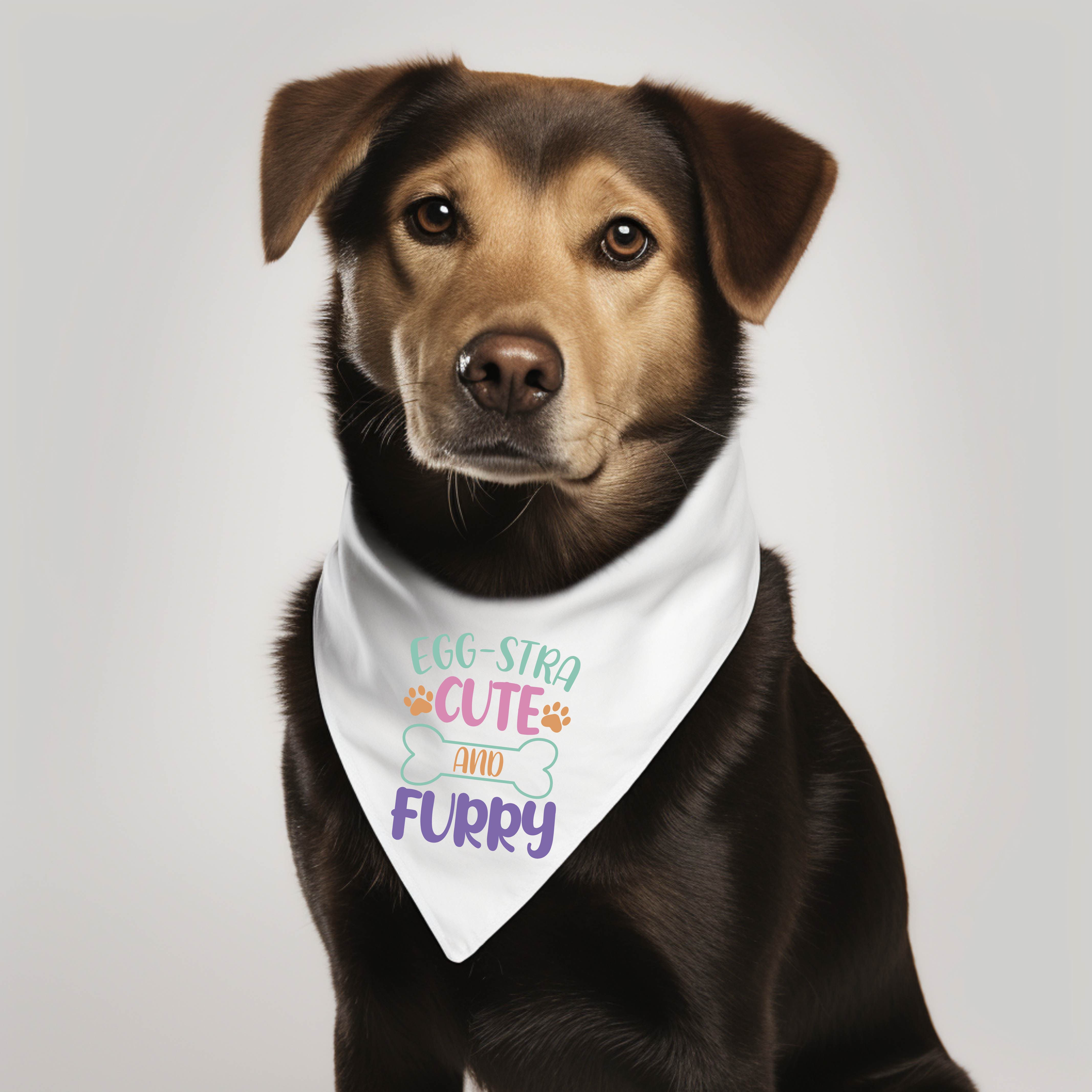 Custom Pet Bandana Gift Your Pet Dog Cat Pig Etc.