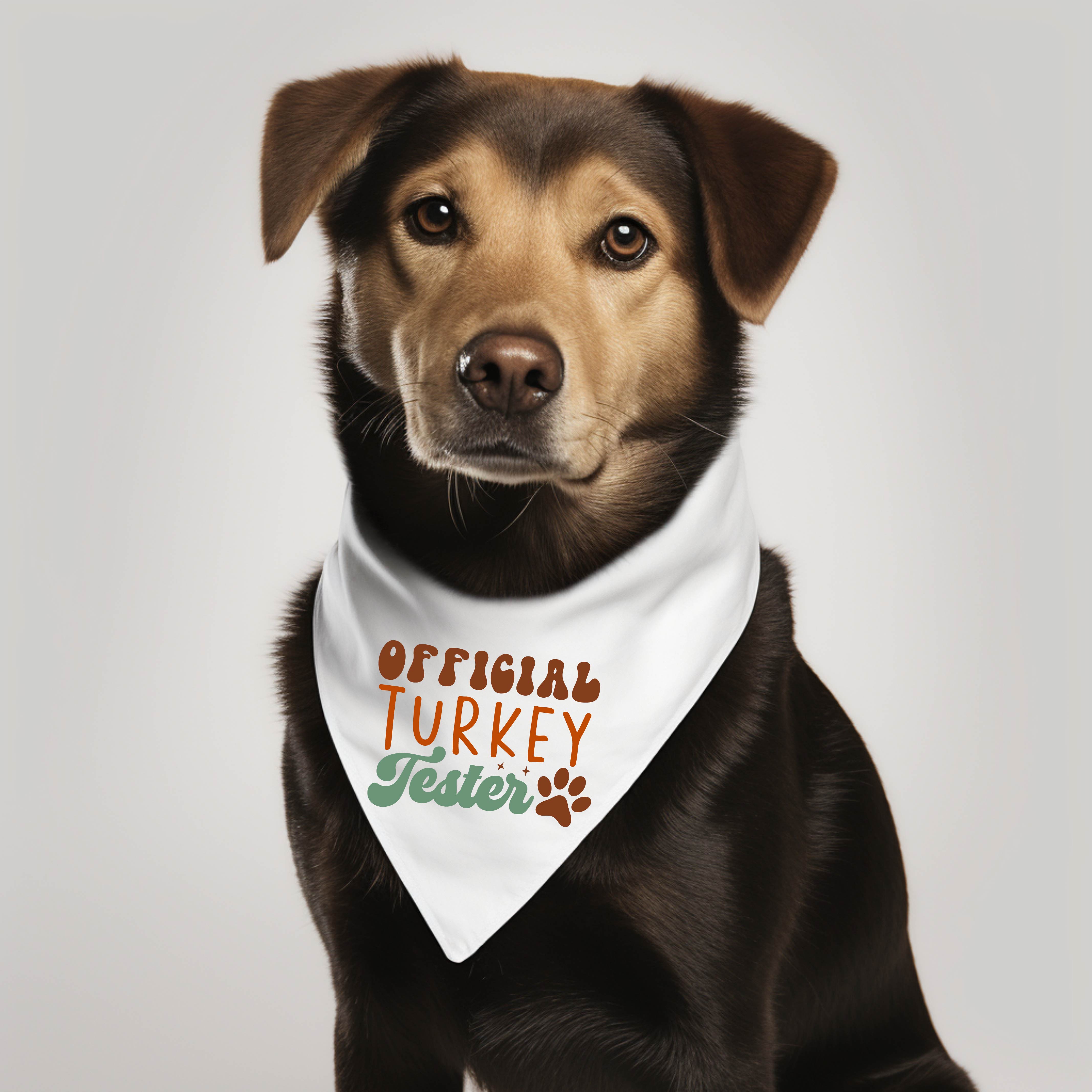 Custom Pet Bandana Gift Your Pet Dog Cat Pig Etc.